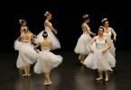 Gala de danse classique 14 ans à jeunes adultes 2026